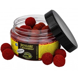 boilies v dvojobalu - mrtvý korýš