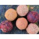 boilies v dvojobalu - chobotnice