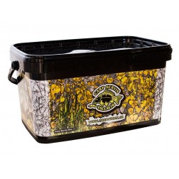 box Carp servis 