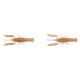 3D CRAYFISH RATTLING