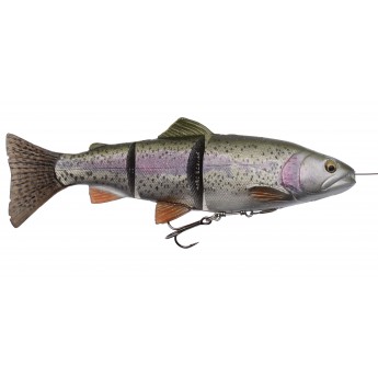 SG 4D Line Thru 25cm 180g - Rainbow Trout