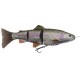 SG 4D Line Thru 25cm 180g - Rainbow Trout