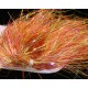 Saltwater Blend Angel Hair - Sparkly Orange