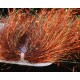 Saltwater Blend Angel Hair - Copper Blaze