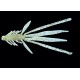Nymfa RELAX 5 (14cm) 011 perleťová s černým,zlatým a červeným glitrem
