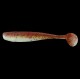 Kingshad 5 laminated 161