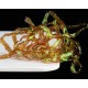 Pearl Braidback, 2.5mm - Cinnamon