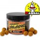 boilies balanc feeder 80g/12mm randal