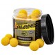 Boilies Balanc - 120g/20mm Slunečnice