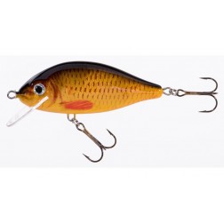 wobler Jaxon Holo Select Karas 5,5 cm FA