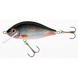 wobler Jaxon Holo Select Karas 5,5 cm FC