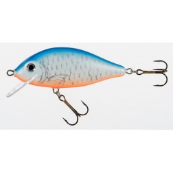 wobler Jaxon Holo Select Karas 5,5 cm FKZ