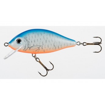 wobler Jaxon Holo Select Karas 5,5 cm FNL