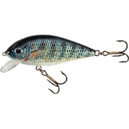 wobler Jaxon Holo Select Karas 5,5 cm FNL