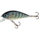 wobler Jaxon Holo Select Karas 5,5 cm FNL