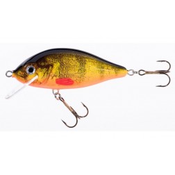 wobler Jaxon Holo Select Karas 5,5 cm FOG
