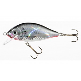 wobler Jaxon Holo Select Karas 5,5 cm FSC