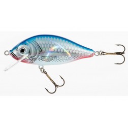 wobler Jaxon Holo Select Karas 5,5 cm FSC
