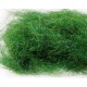 Peacock Dubbing - UV Green