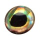 3D epoxy Fish Eyes Perch ( okoun )