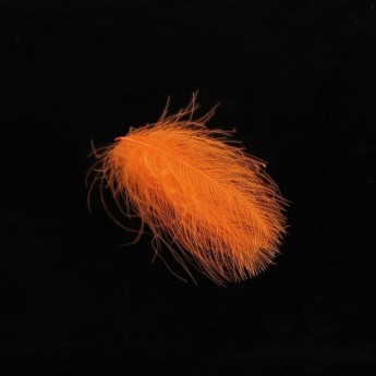 CDC barvené - 10 oranžová fluo CDC barvené - 10 oranžová fluo