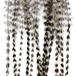 Whiting - srpky - olivová grizzly