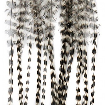 Whiting - srpky - grizzly