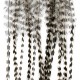 Whiting - srpky - grizzly