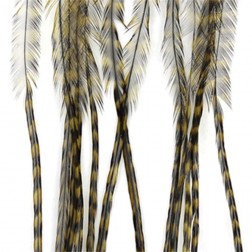 Whiting - srpky - grizzly olivová