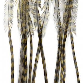 Whiting - srpky - grizzly olivová