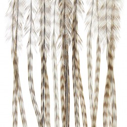 Whiting - srpky - grizzly šedohnědá