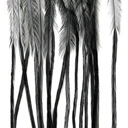 Whiting - srpky - černá