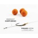 Zfish návazec Crang Carp Rig 