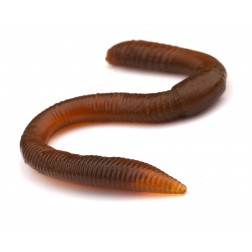 FreeStyle Twitch Worms 