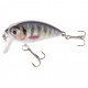 vobler JAXON Atract Lures XXH-G Mini 3,5cm  - N