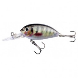 vobler JAXON Atract Lures XXH-M Aris  4cm  - M