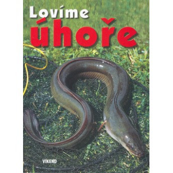 Lovíme úhoře