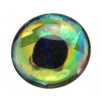 3D epoxy Fish Eyes Dorado