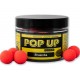 Pop Up Boilies 16mm - Brusinka