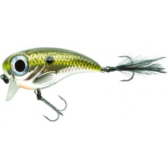 wobler SPRO FAT IRIS 50 - Chrome Shad wobler SPRO FAT IRIS 50 - Chrome Shad