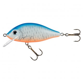 wobler Jaxon Holo Select Karas 5,5 cm FNL
