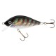 wobler Jaxon Holo Select Karas 5,5 cm FMB