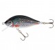 wobler Jaxon Holo Select Karas 5,5 cm FMB