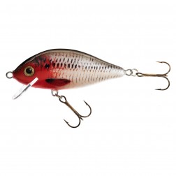wobler Jaxon Holo Select Karas 5,5 cm FP