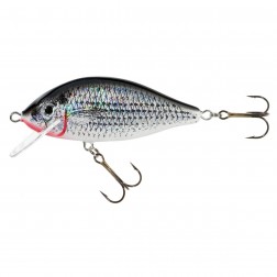 wobler Jaxon Holo Select Karas 5,5 cm FSC