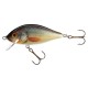 wobler Jaxon Holo Select Karas 5,5 cm FSN