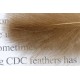 Výběr balení Troutline Natural Colors CDC Tiers' – 0,5 g natur hnědá