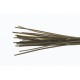Troutline Hand Selected Stripped Peacock Quill - páv - olive