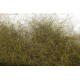 dubbing Troutline Pure Squirrel - golden olive