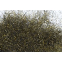 dubbing Troutline Pure Squirrel - olive